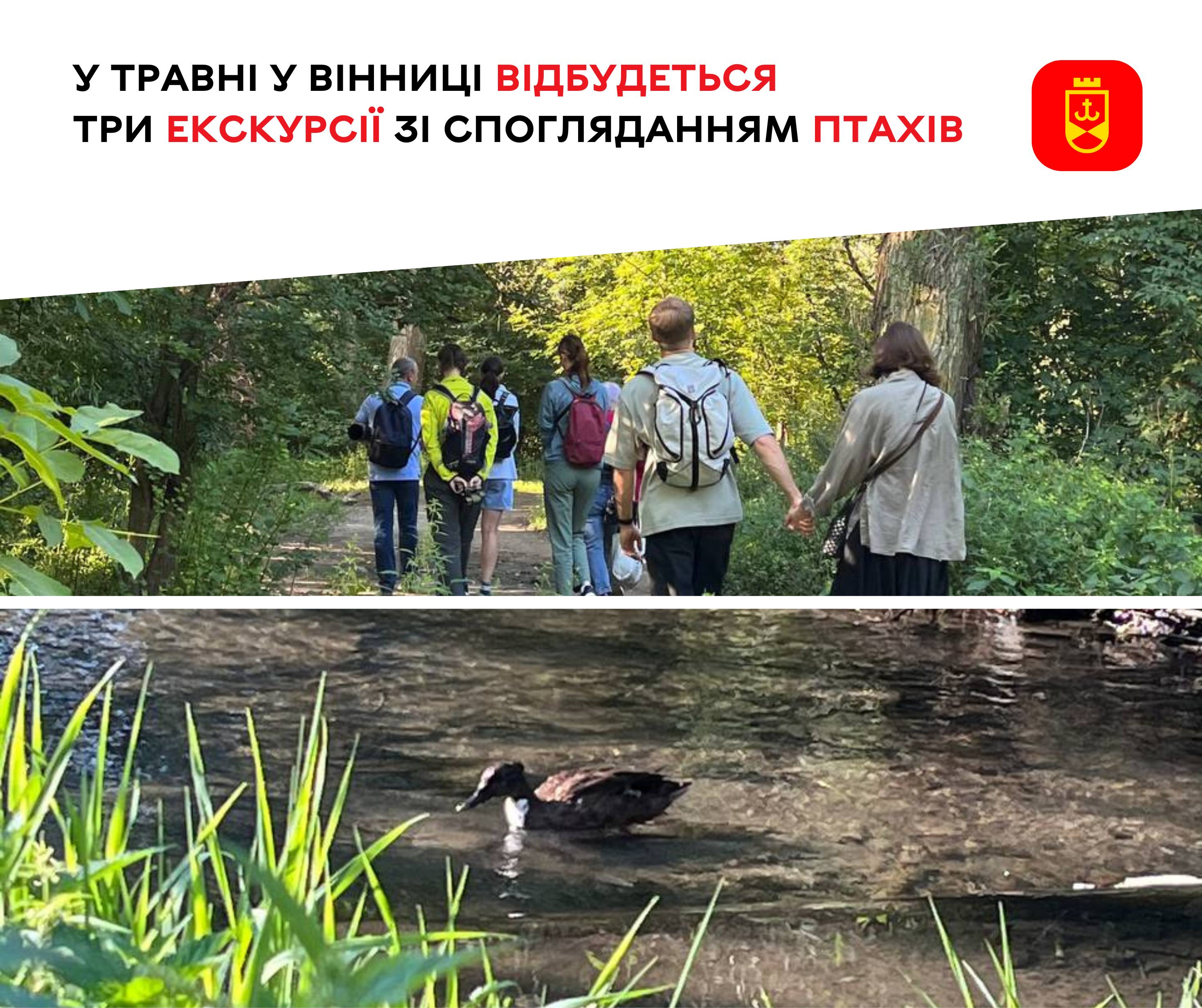 У травні у Вінниці відбудеться три екскурсії зі спогляданням птахів